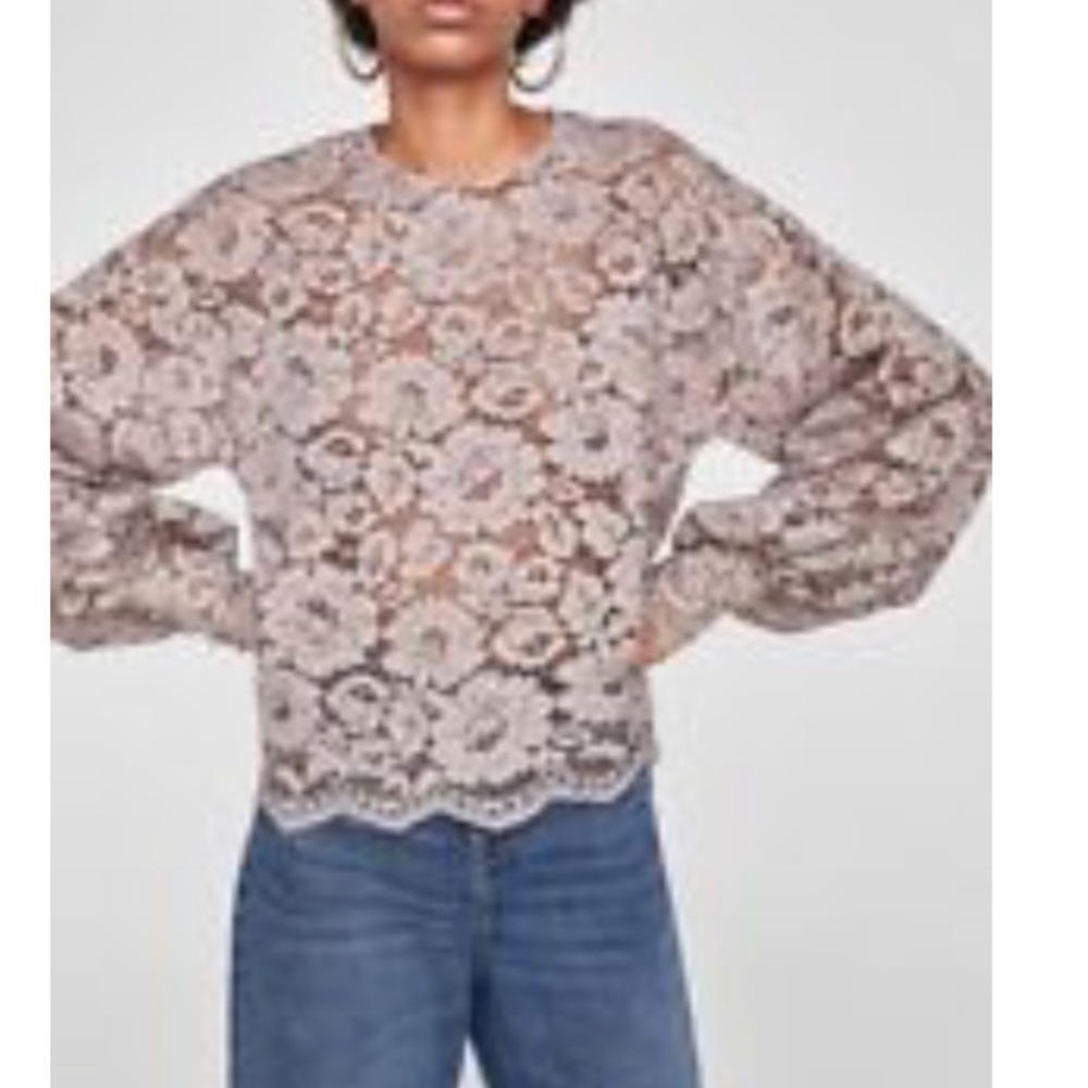 Zara- Long Sleeve Lace Top